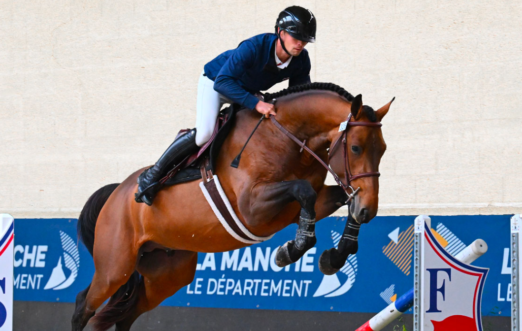 Mambo Semilly Stallion